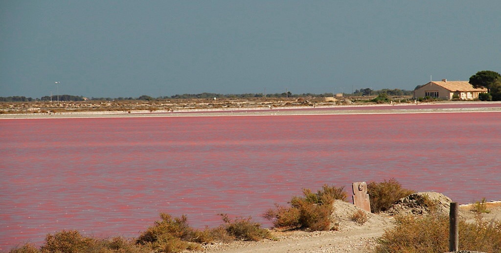 le saline