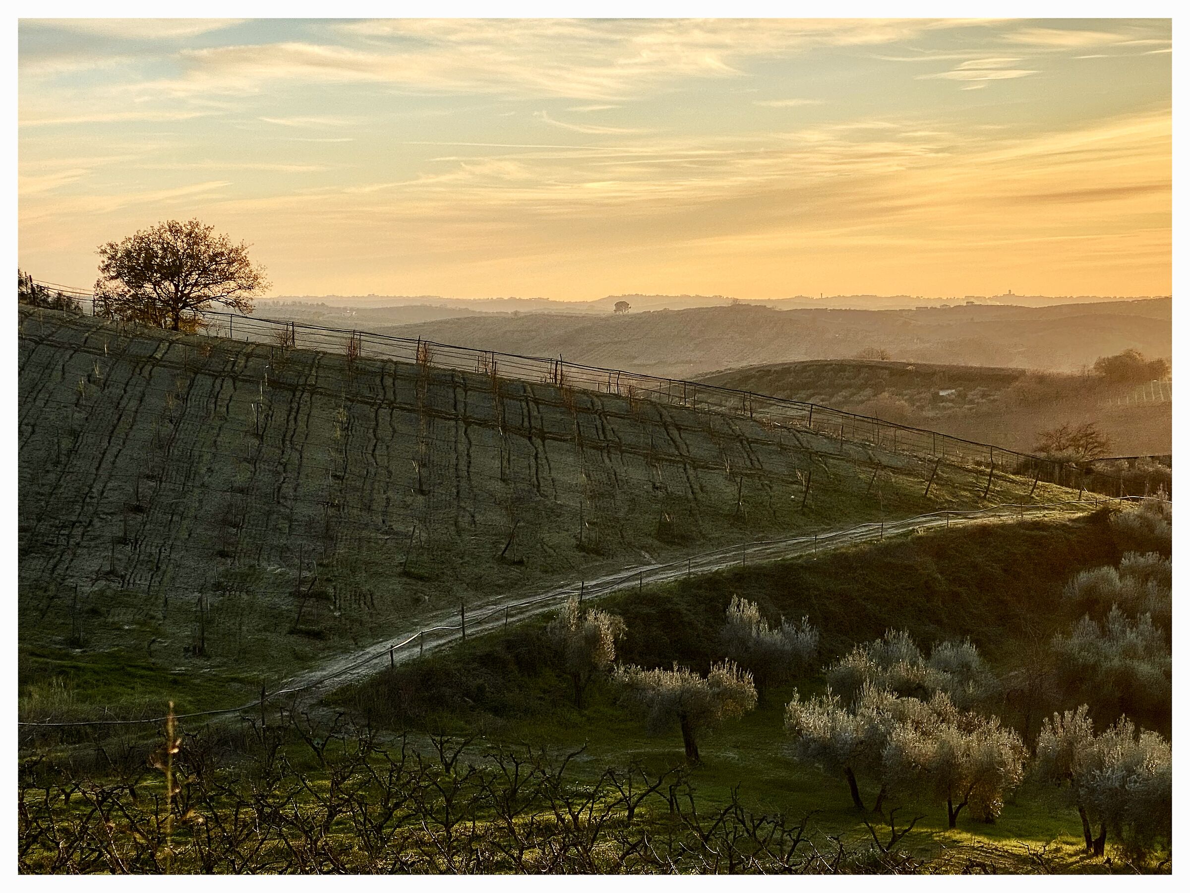 Golden hour in Sabina…