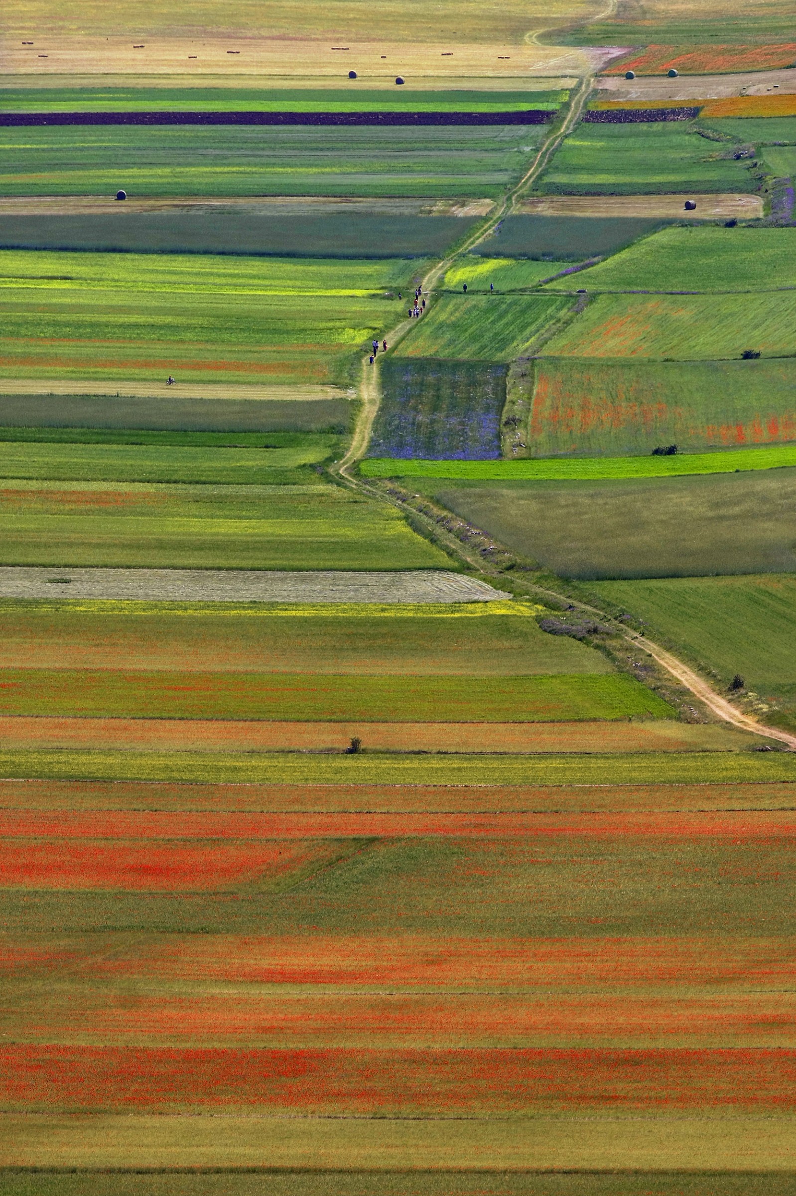 Parallelismi (Castelluccio di Norcia - Pg)