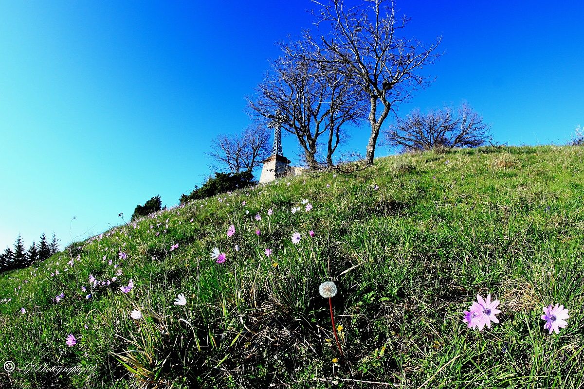 "Resurrection" everywhere