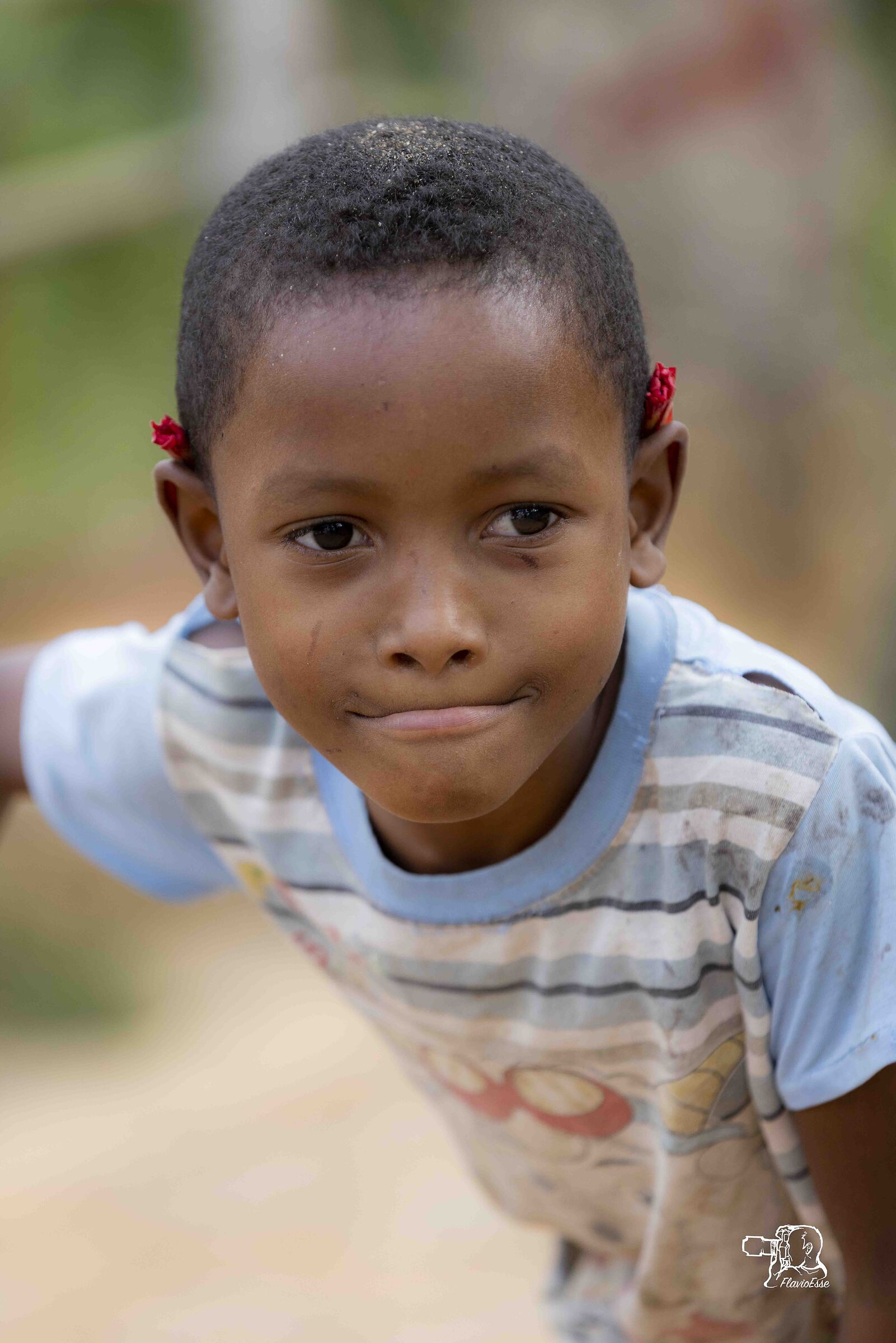 #2 . The faces of Madagascar