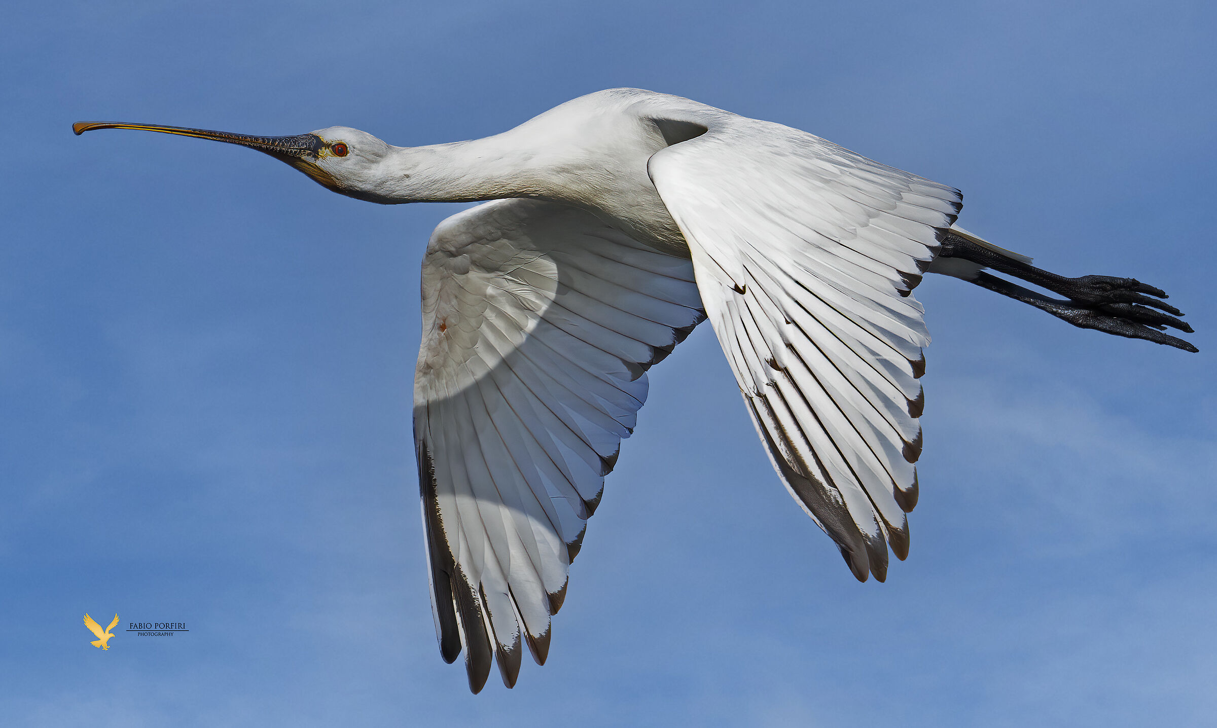 la prima spatola della stagione
