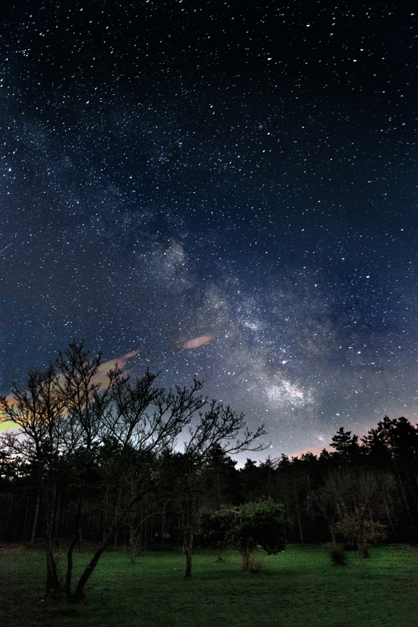 The nature and the stars