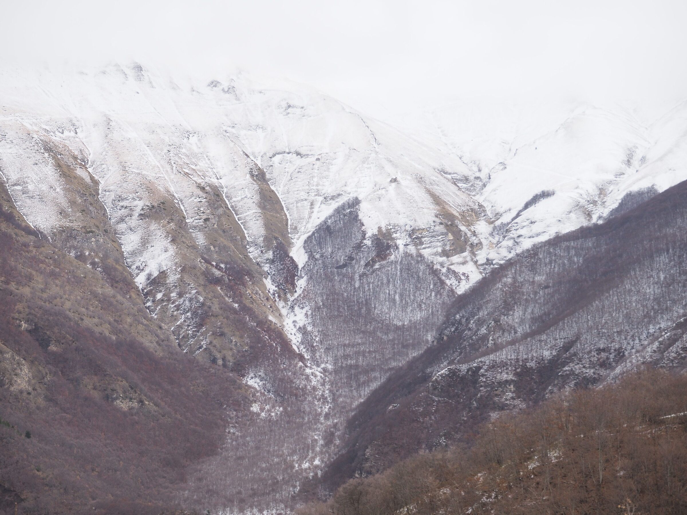 Snow-capped mountains