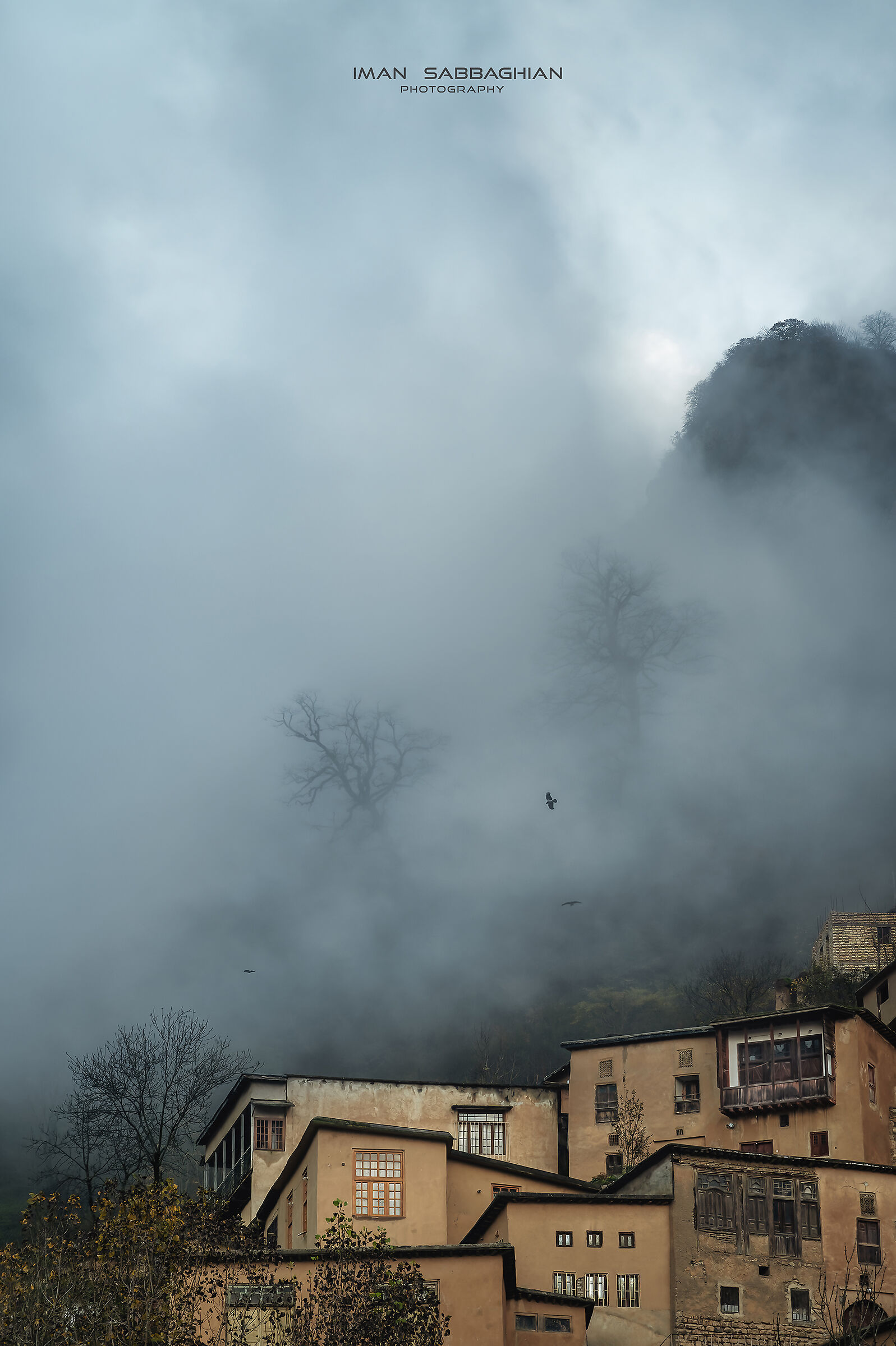nebbia
