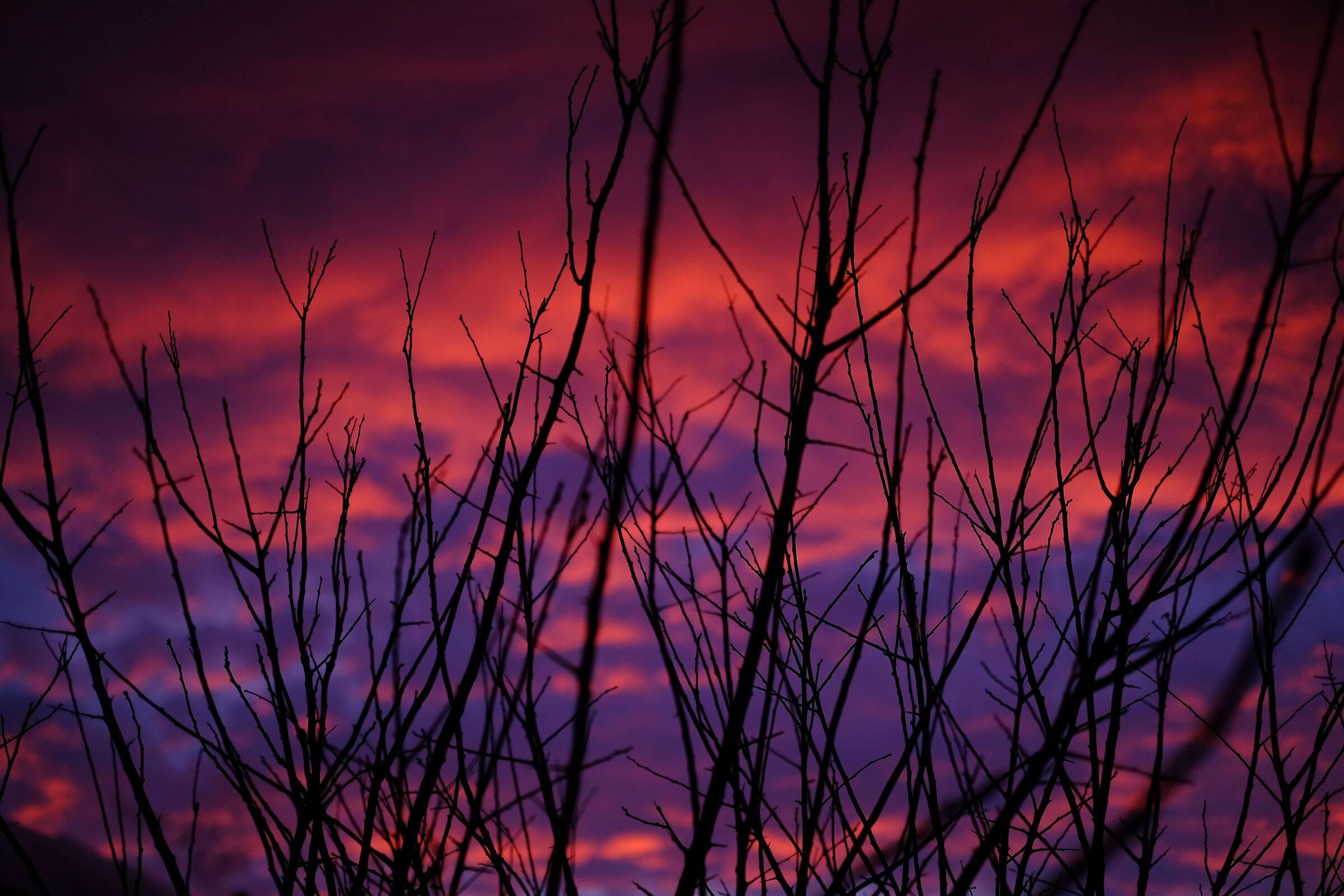 Fire on the Teramo hills