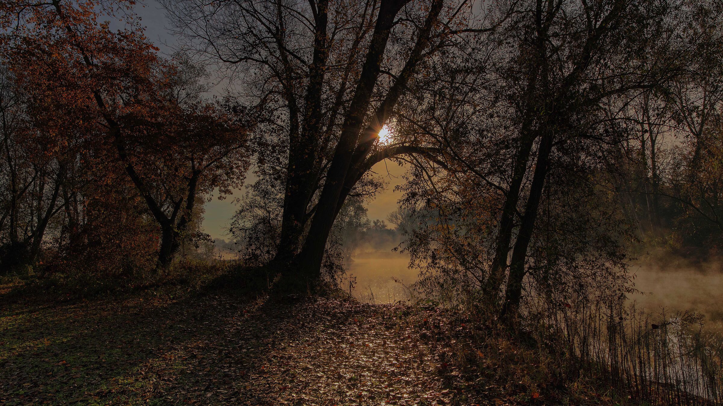 I fiumi lo sanno: non c'è fretta.