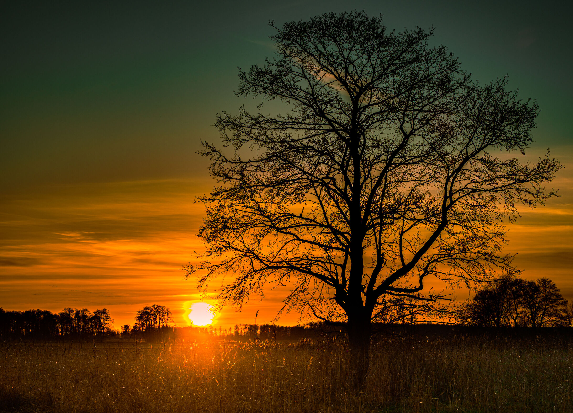almost like sunset over the savannah