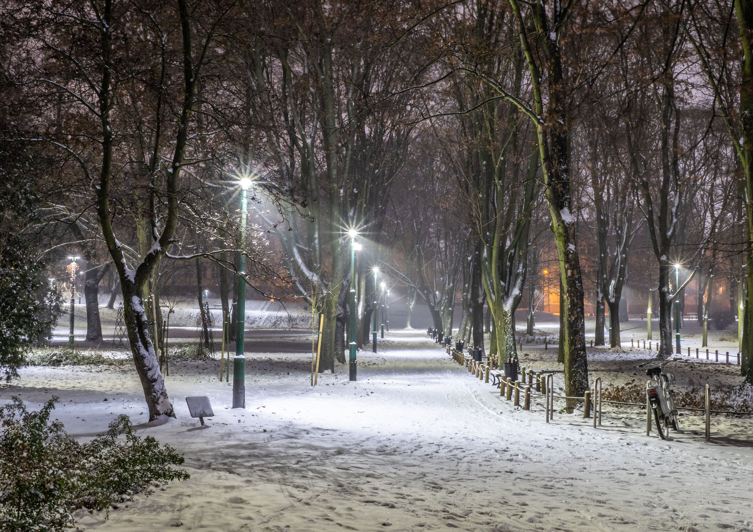 Winter in the park