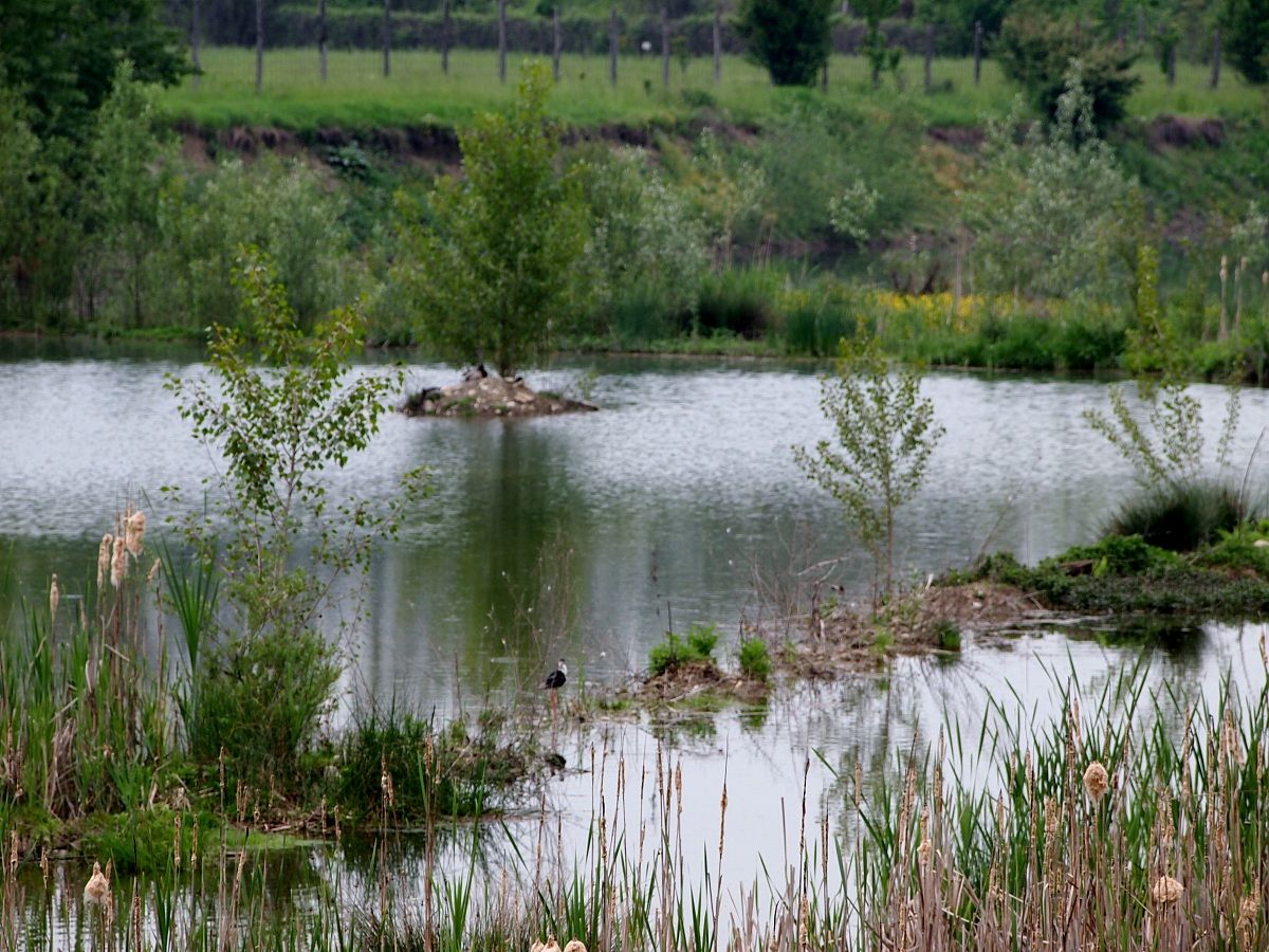 Oasis Cronovilla Traversetolo