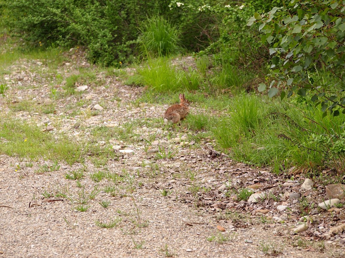 Oasis Cronovilla Traversetolo