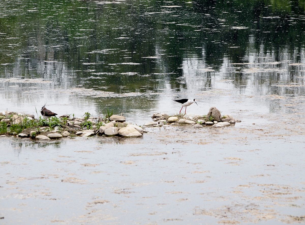 Oasis Cronovilla Traversetolo
