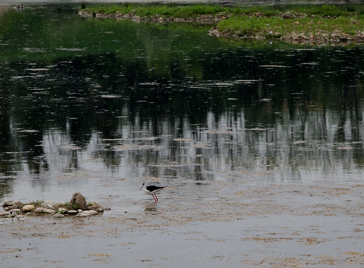 Oasis Cronovilla Traversetolo