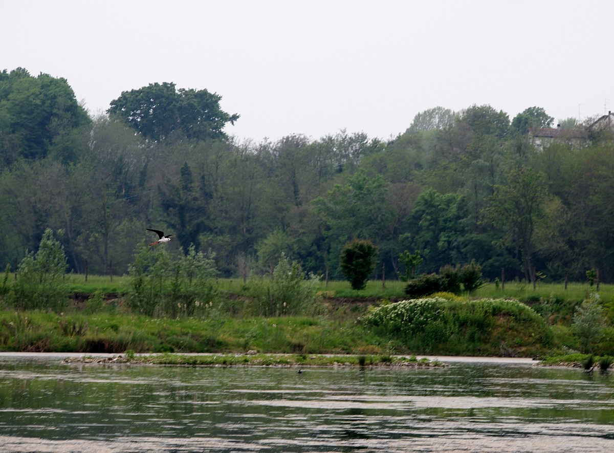 Oasis Cronovilla Traversetolo