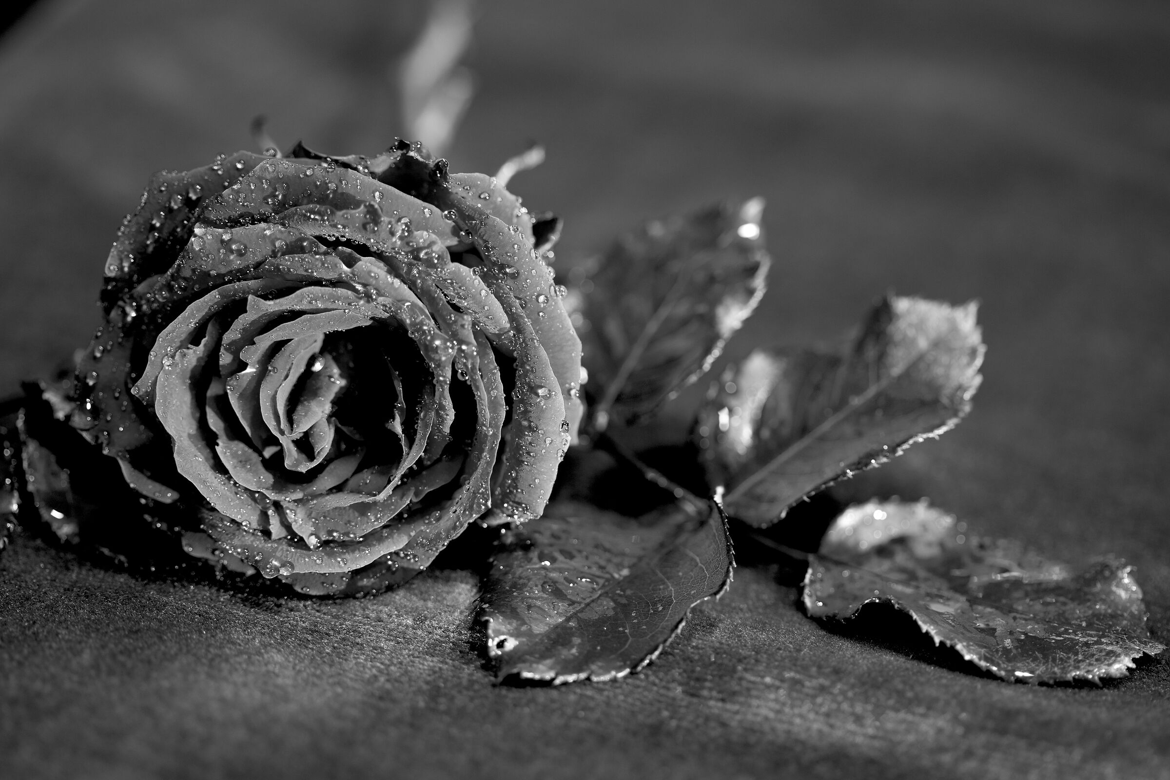 I colori dell'inverno e i profumi della primavera.