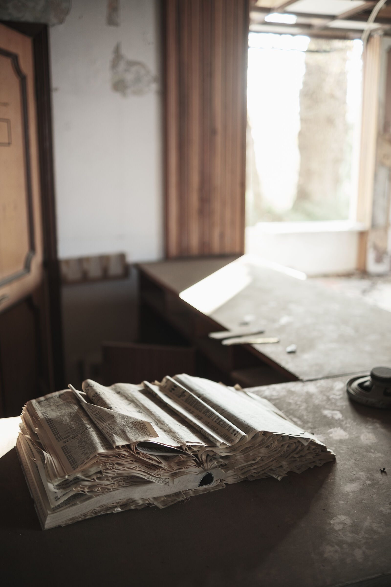 The telephone directory