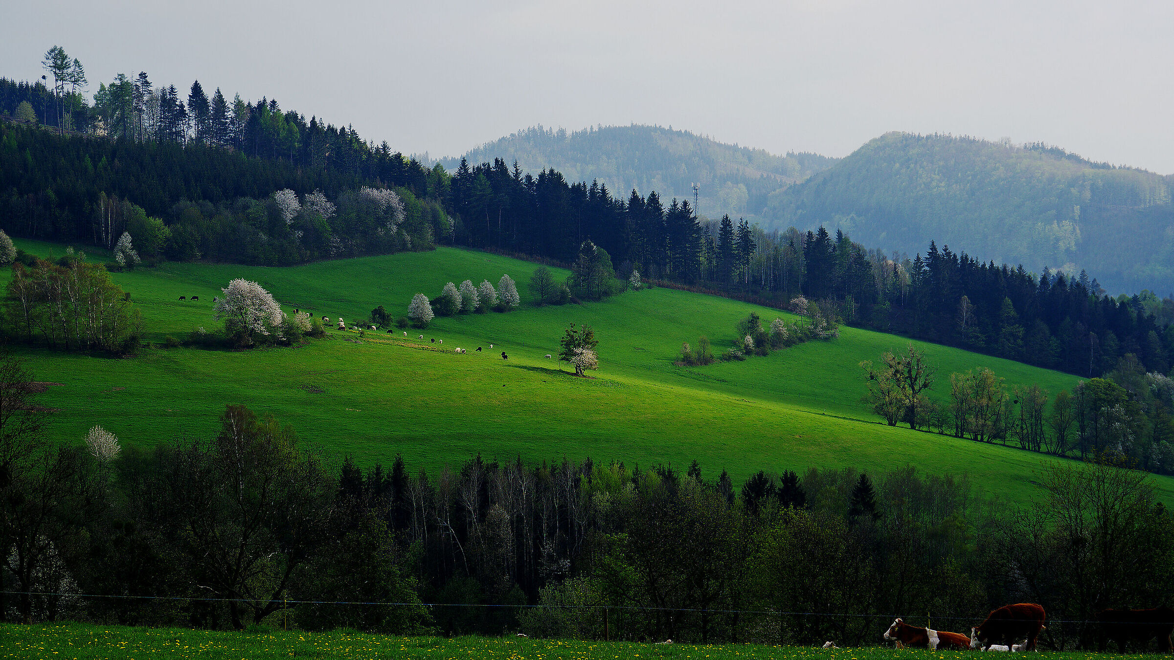 CZ, Eastern Moravia - Beskydy
