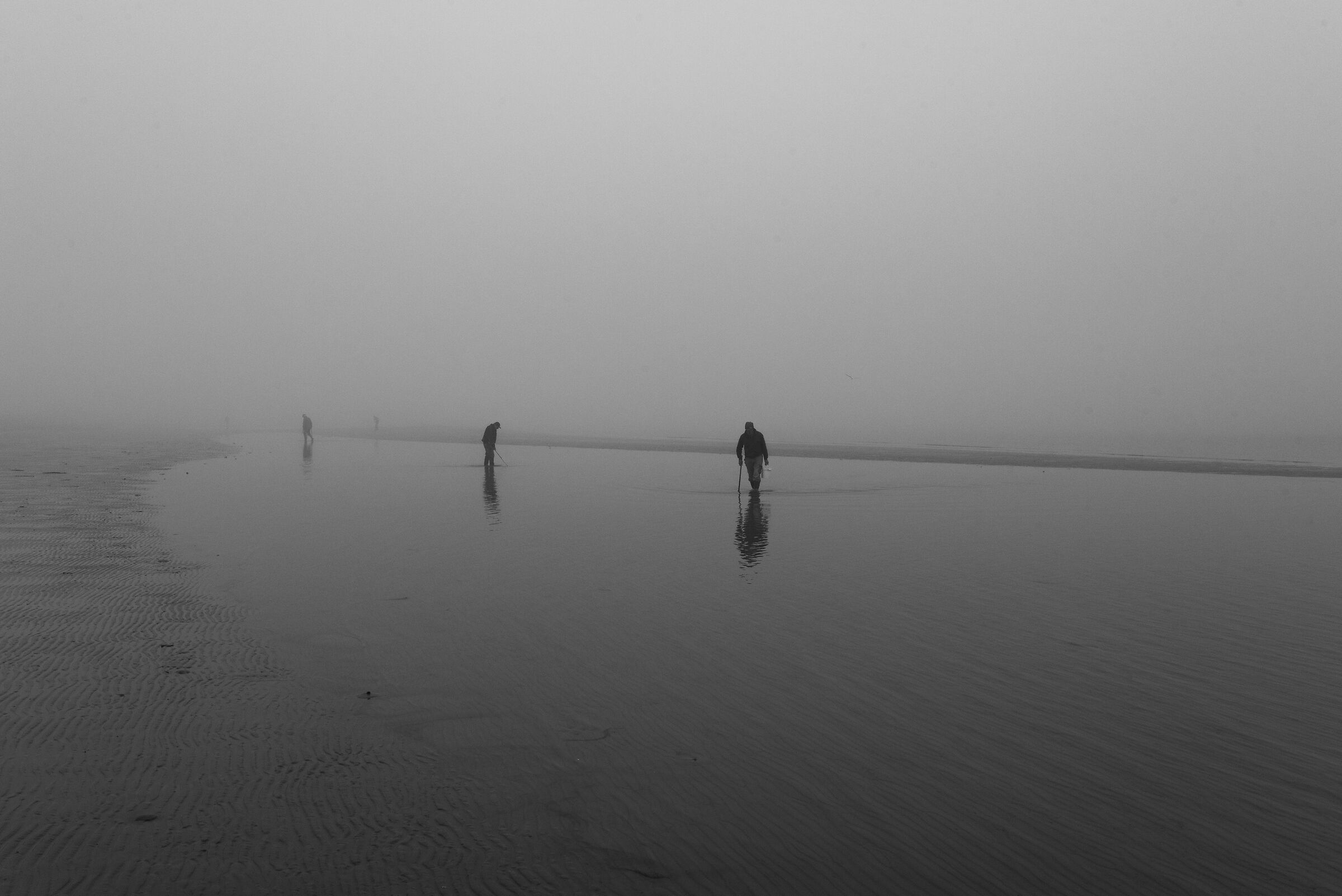 Clam hunters, Cesenatico