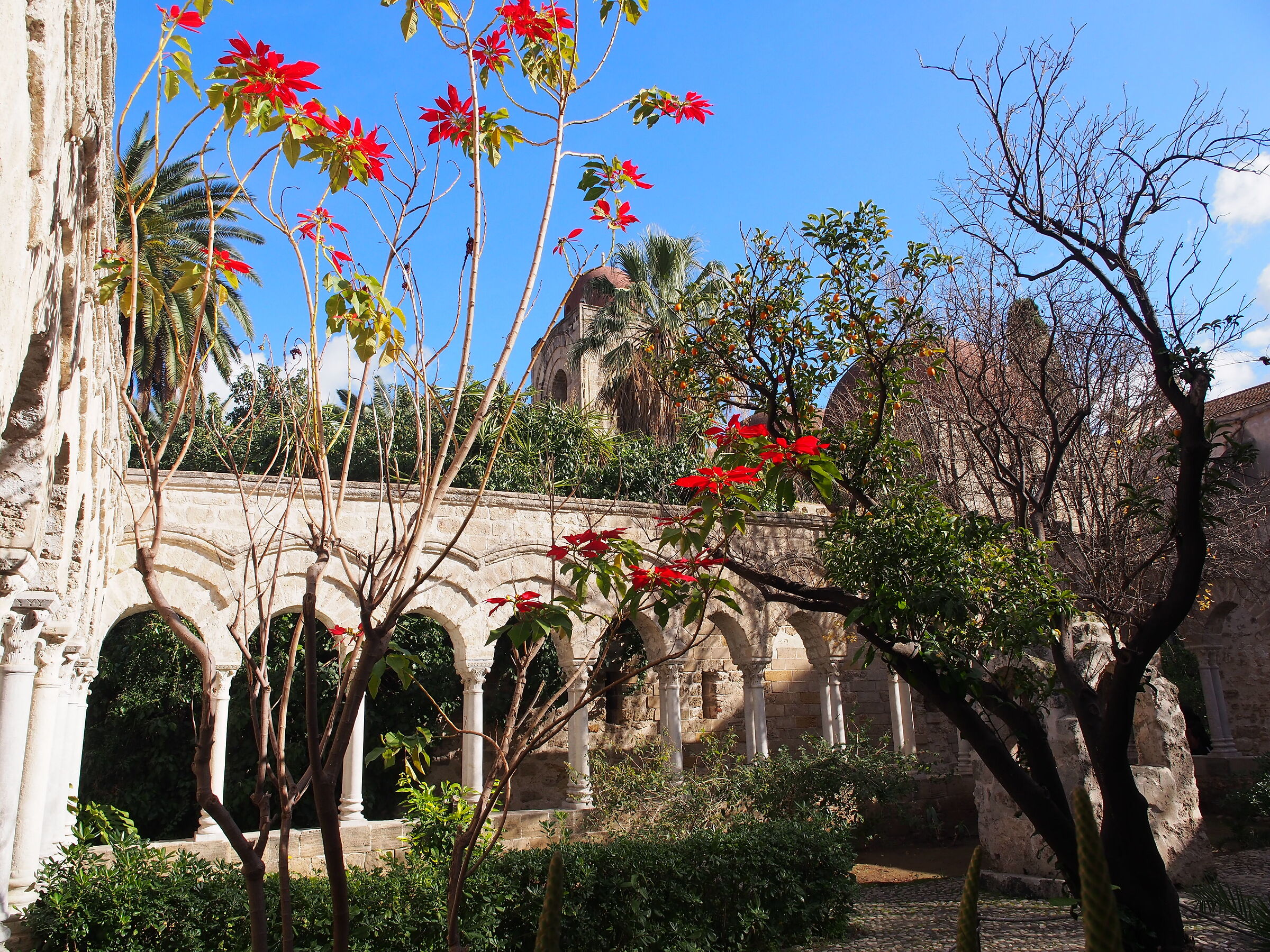 winter garden