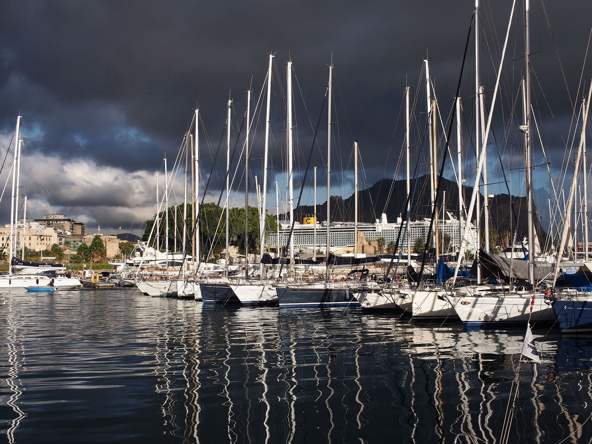 moored sailboats