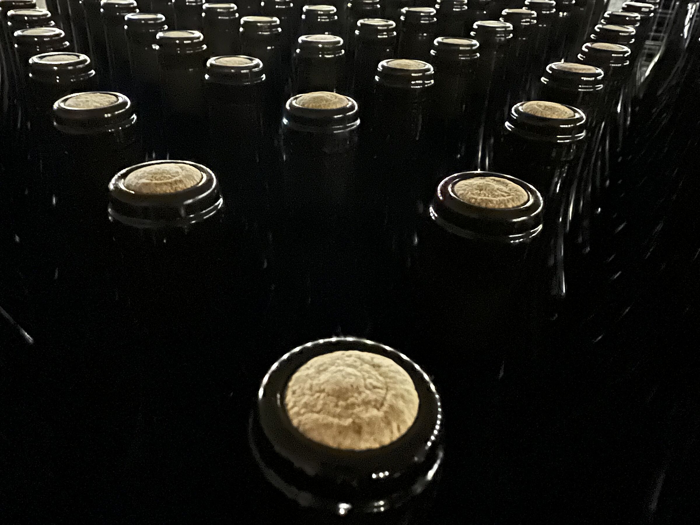 Geometrie in cantina