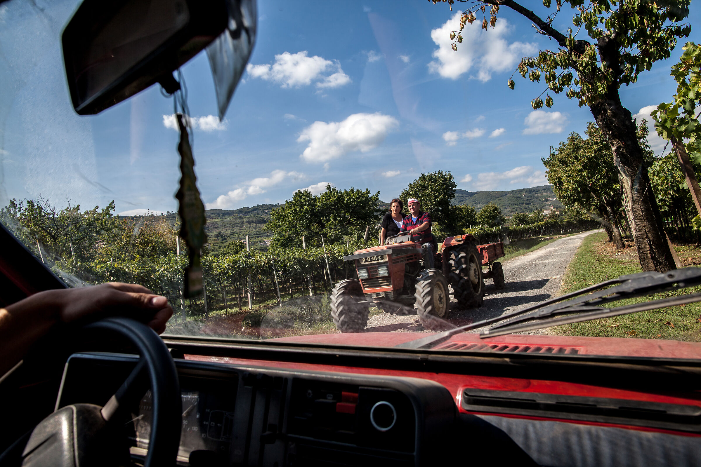 Girovagando per vigne