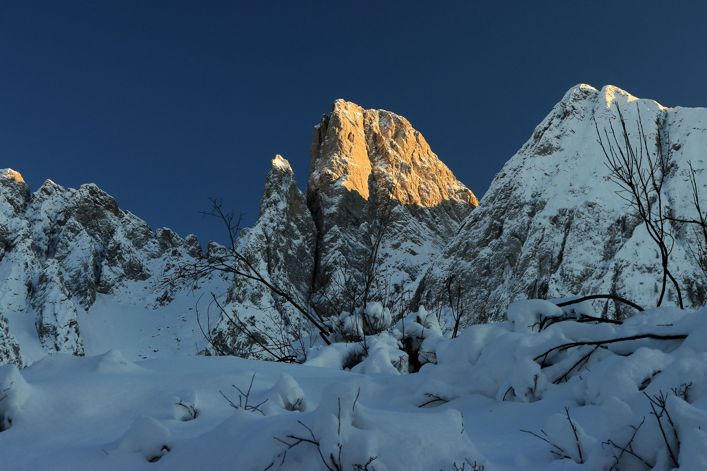 Between the curtain of snow