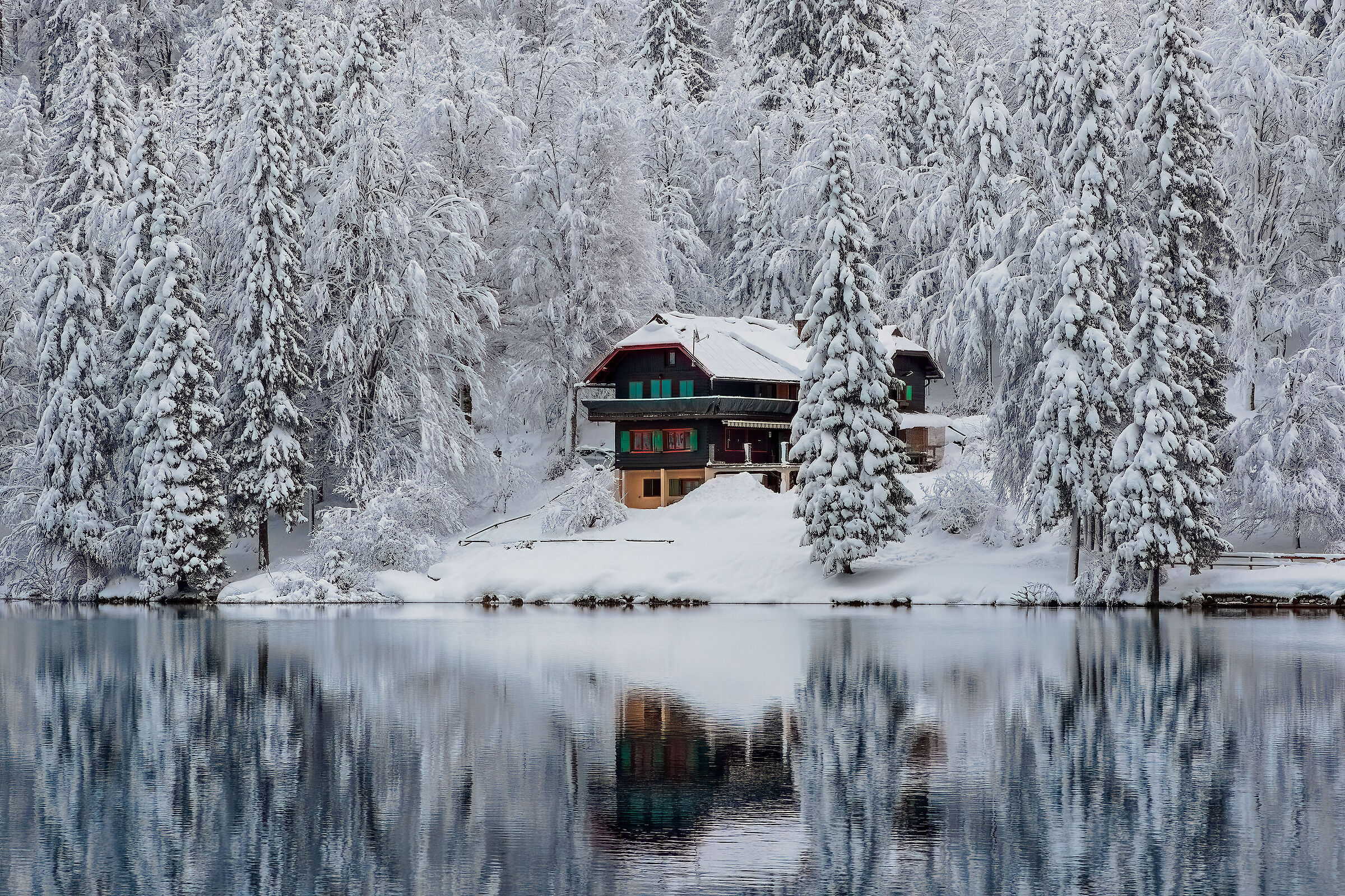 Baita al lago ( di fusine ) 17/01/2023