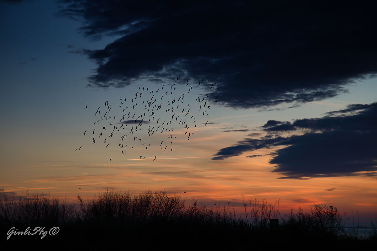 On the delta of the great river