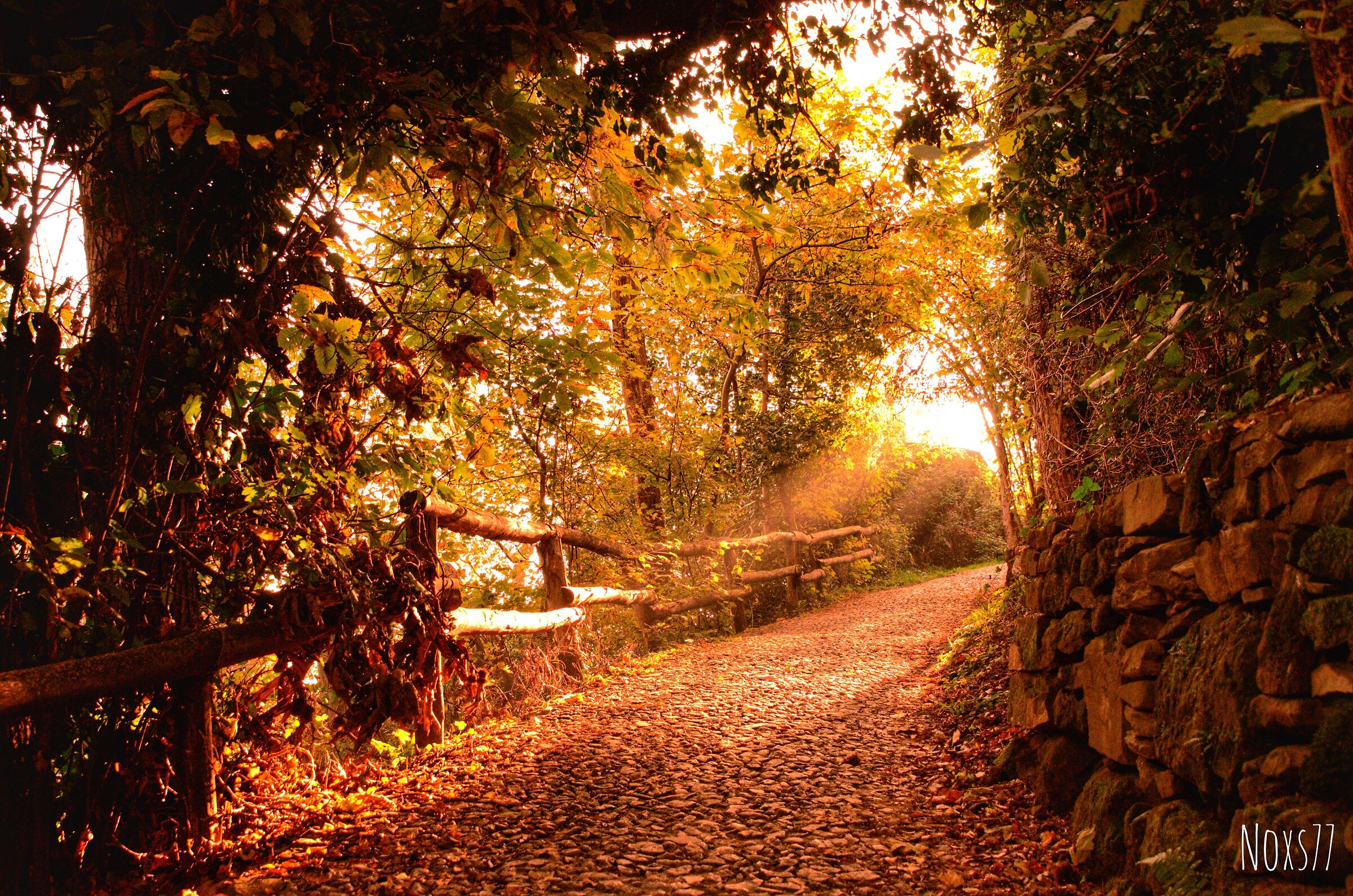 Carpe lux... take the light...