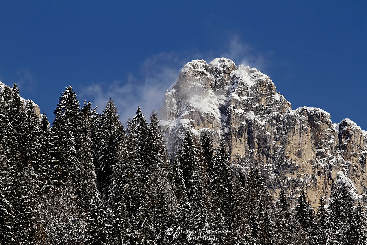 Sasso lungo (Gruppo del Sella)