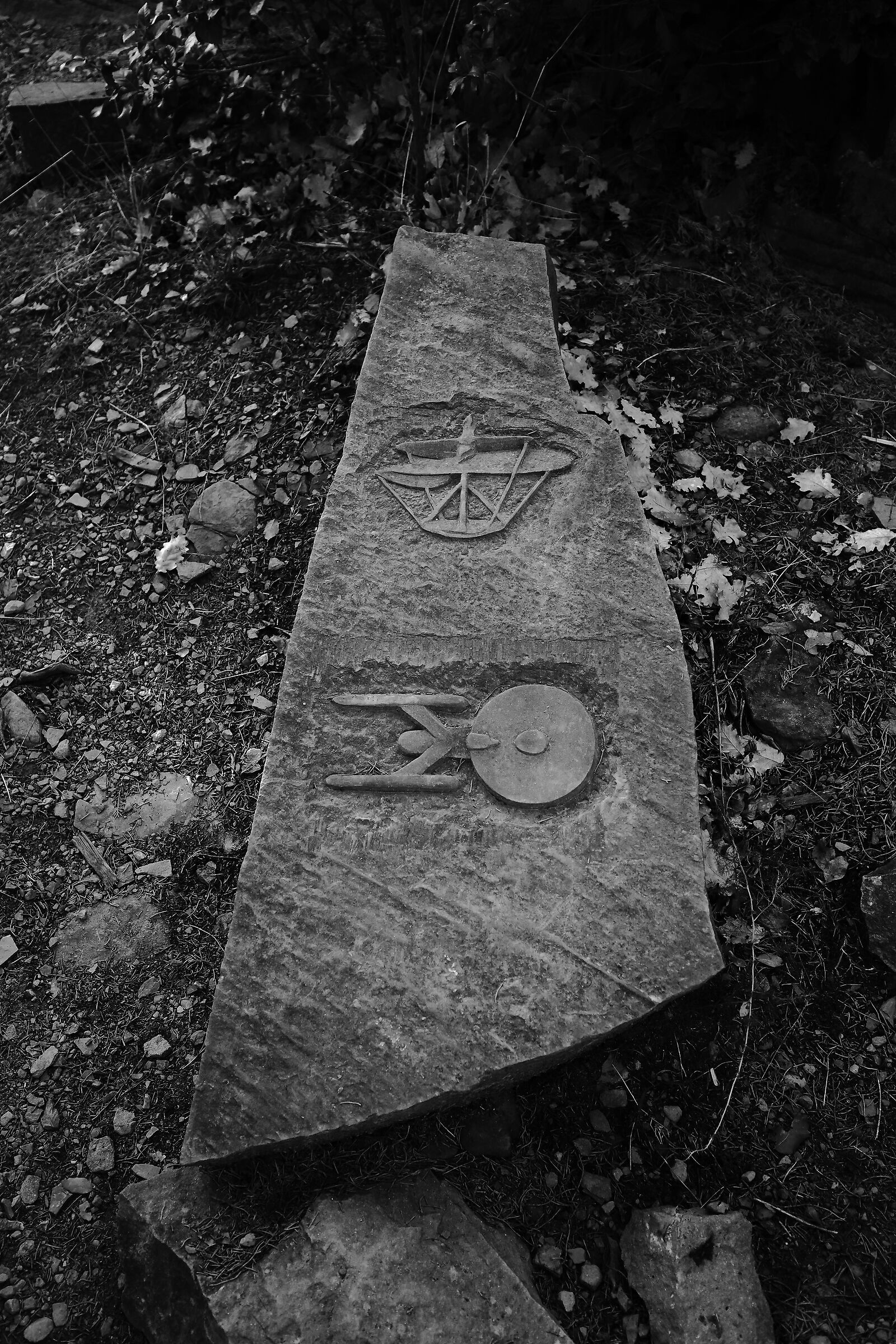 Il Monte Cecere e il Codice sul Volo degli Uccelli