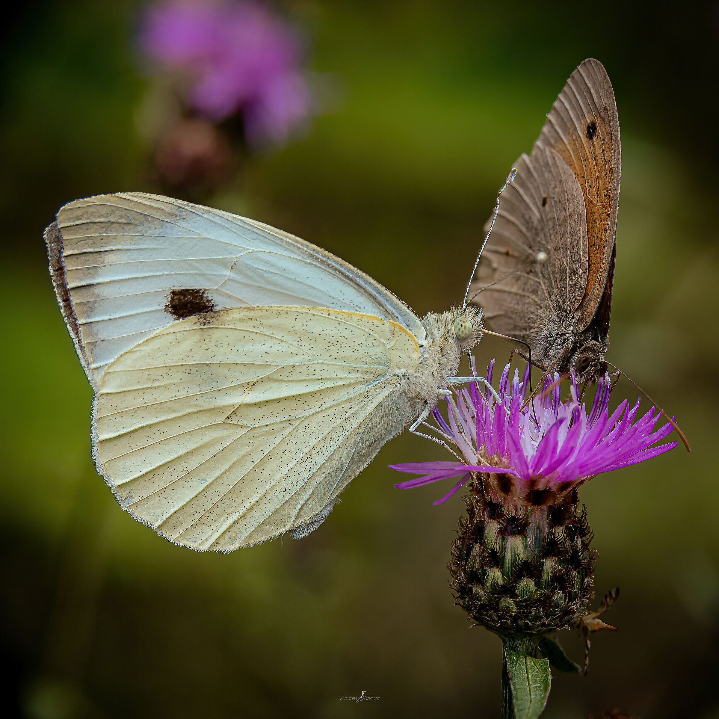 Add a seat at the table