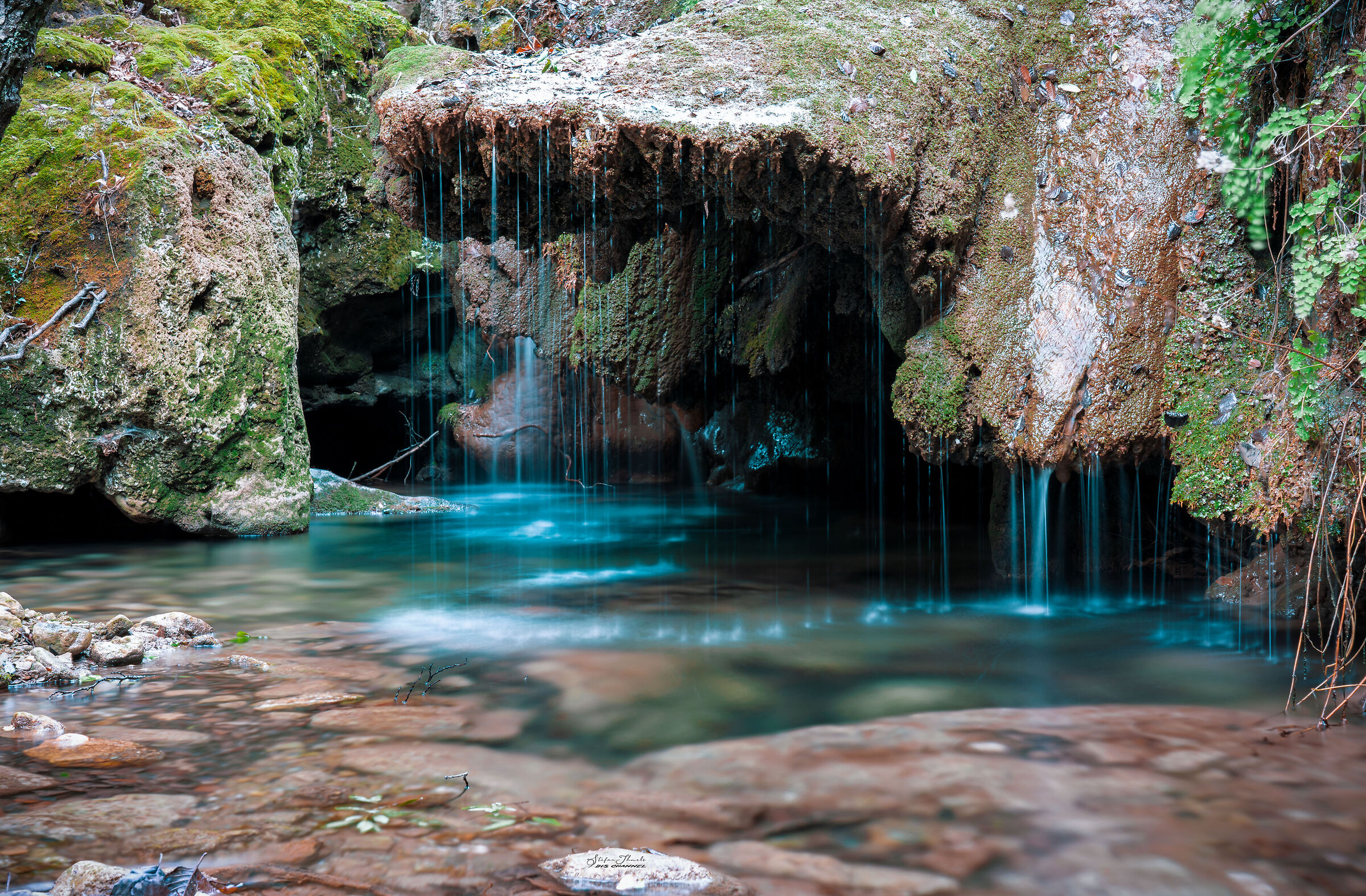 Wonders in the enchanted forest of Niala in Ussassai