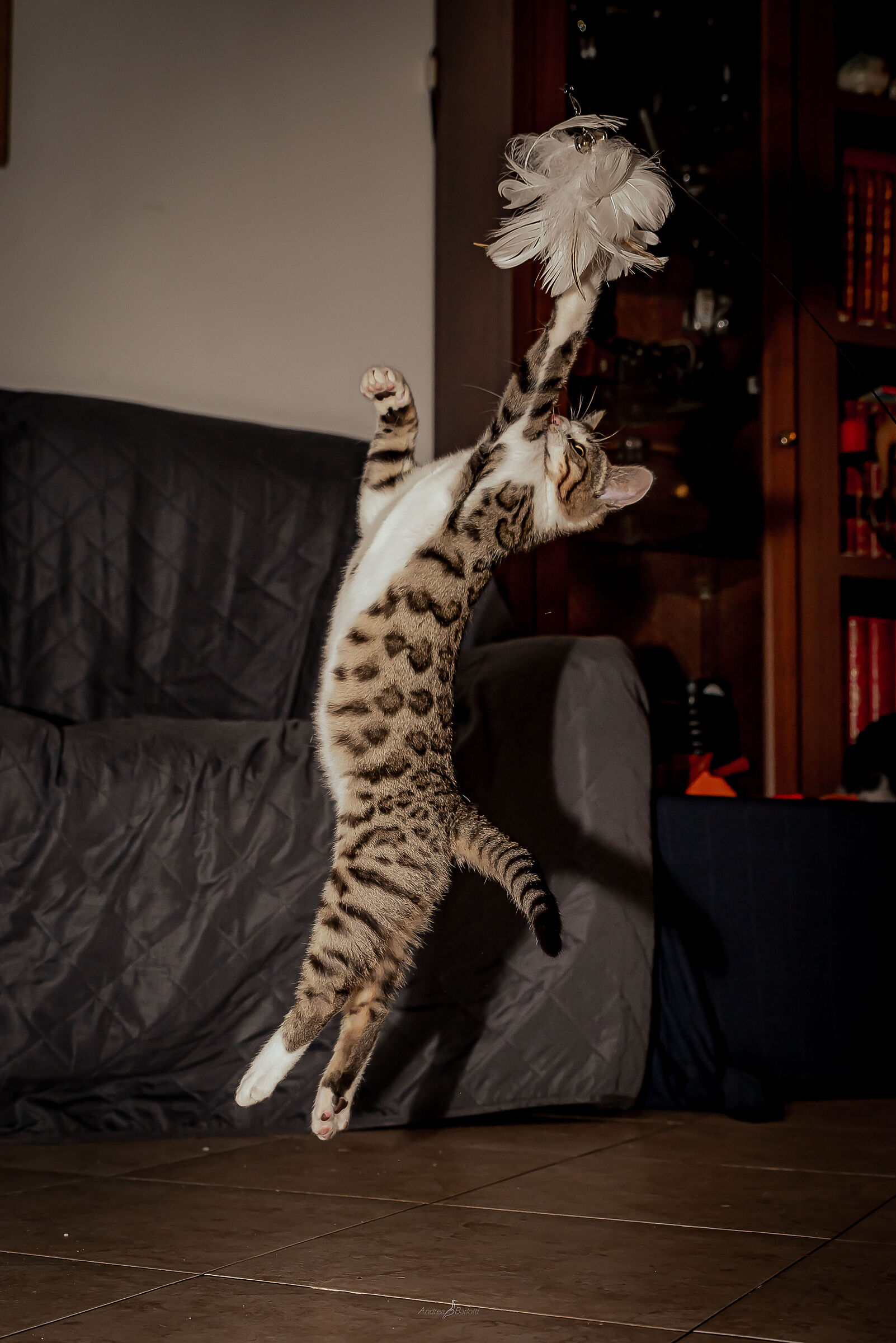 Domestic hunting!