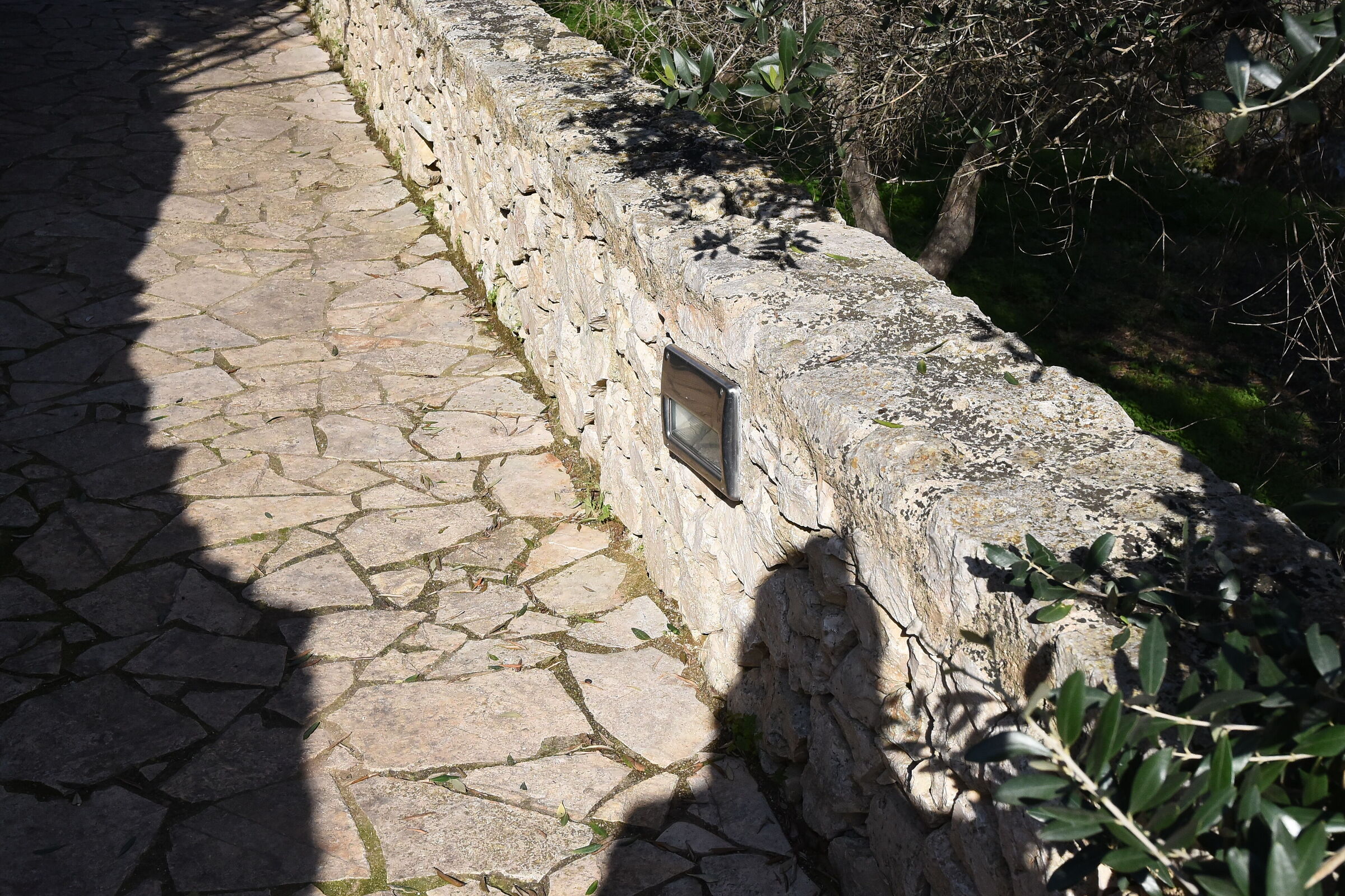 " ISO 2.0 0 0 ", F. 8, 1/ 4.0 0 0- Sigma 28, 1.4 A...