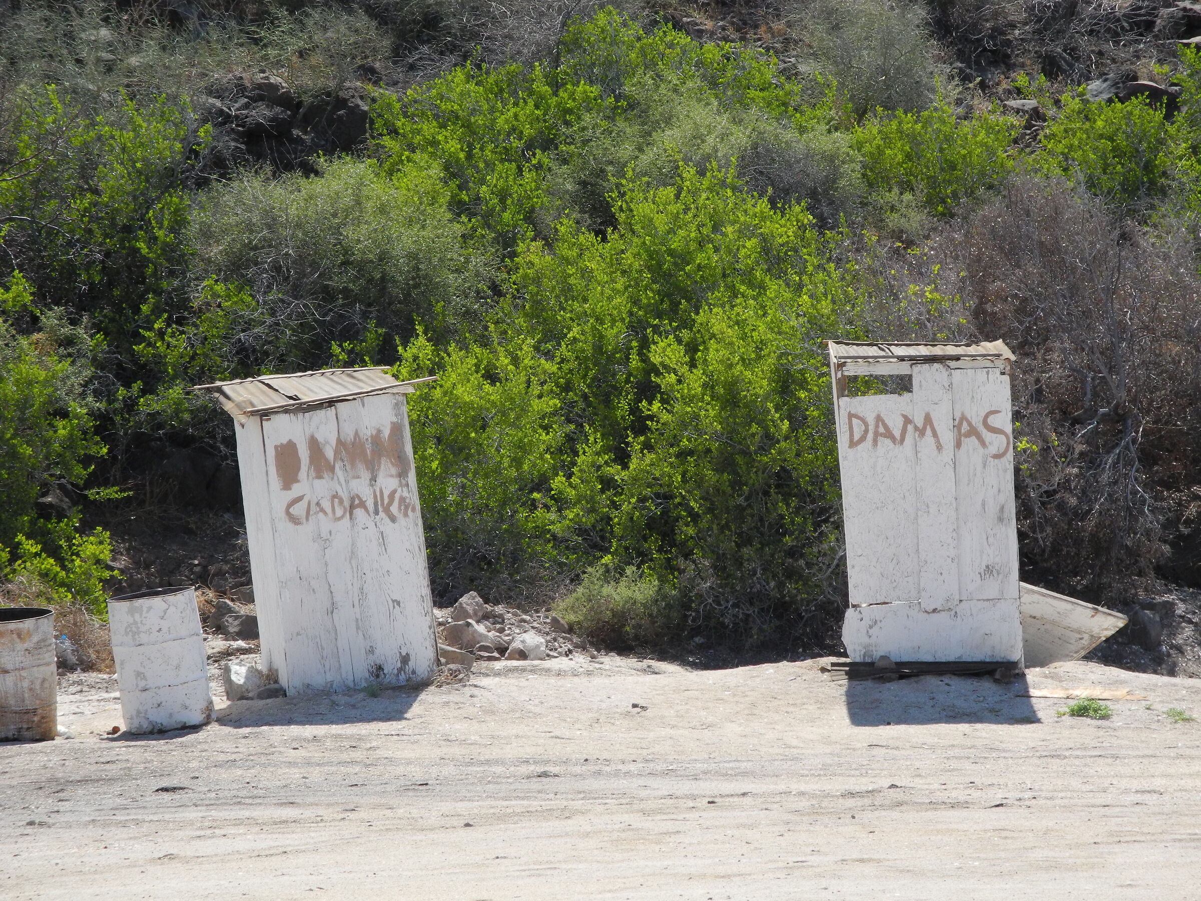 Sulla spiaggia Le Requeson, Baja California