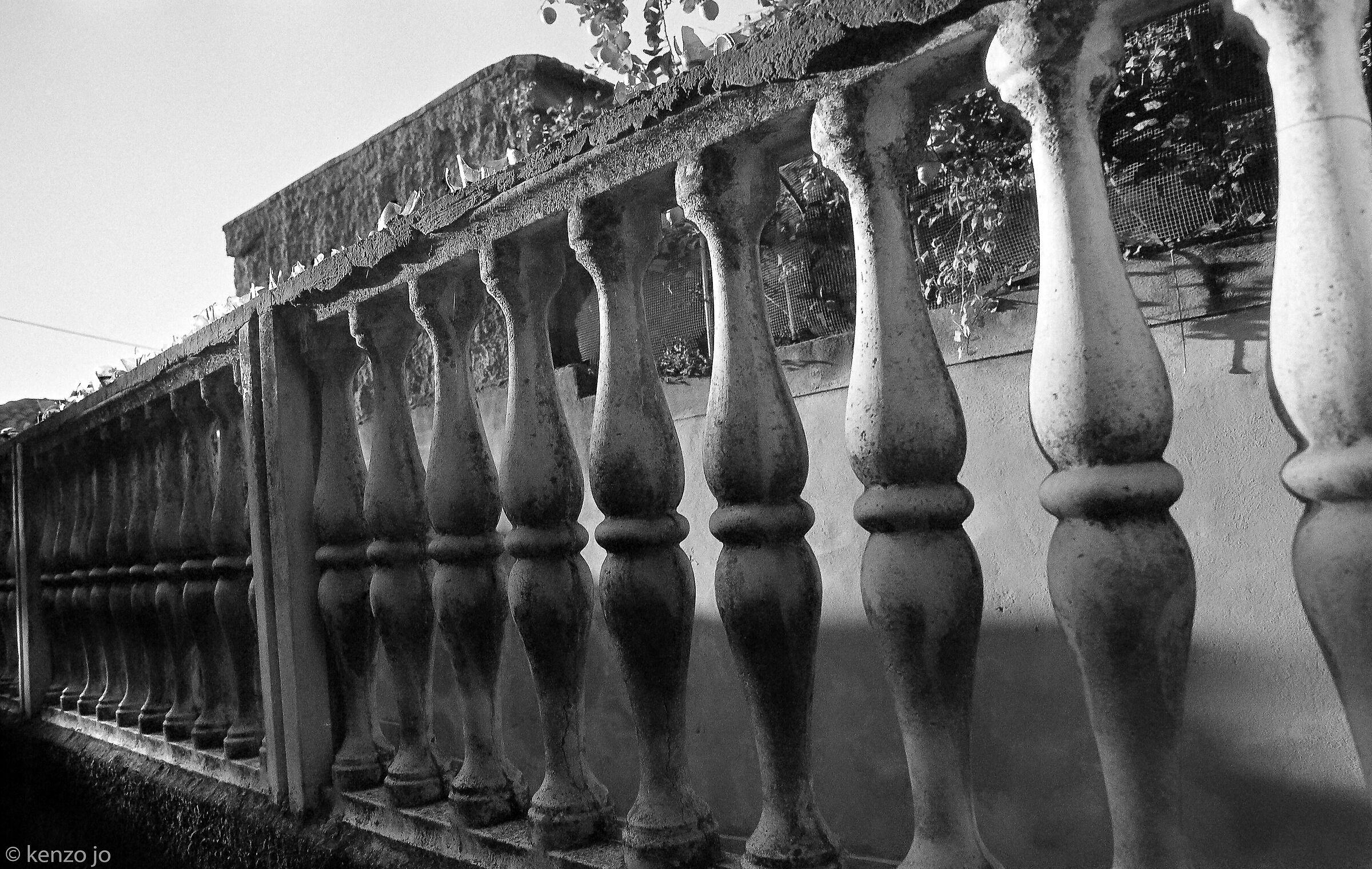 All lined up at sunset