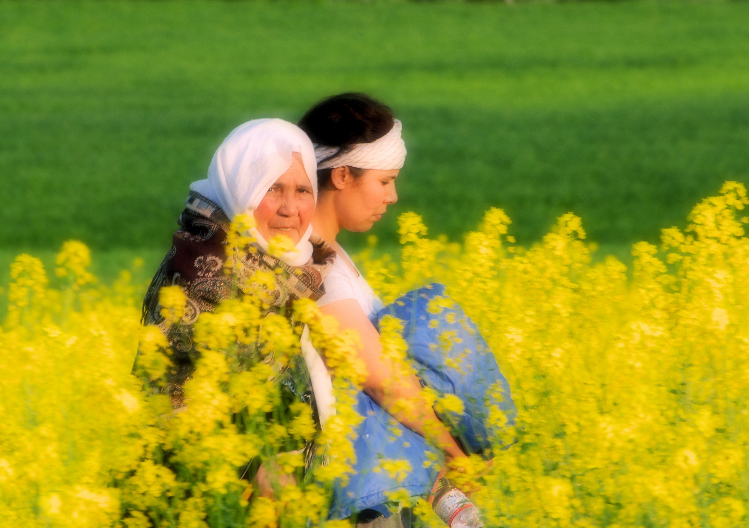 passeggiando nel giallo