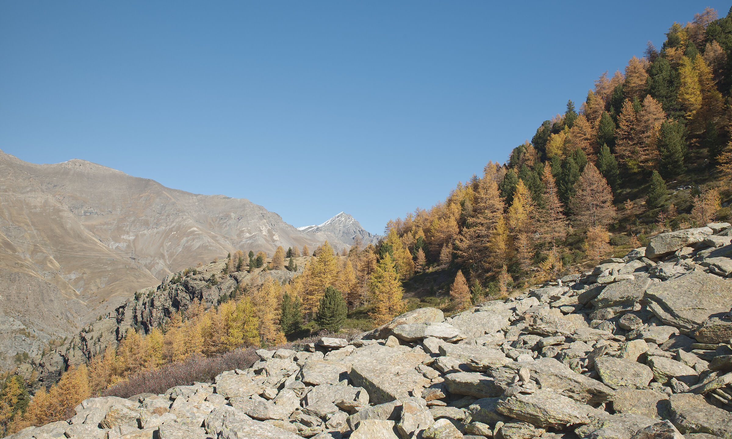 autumn in Val d'Aosta October 2021