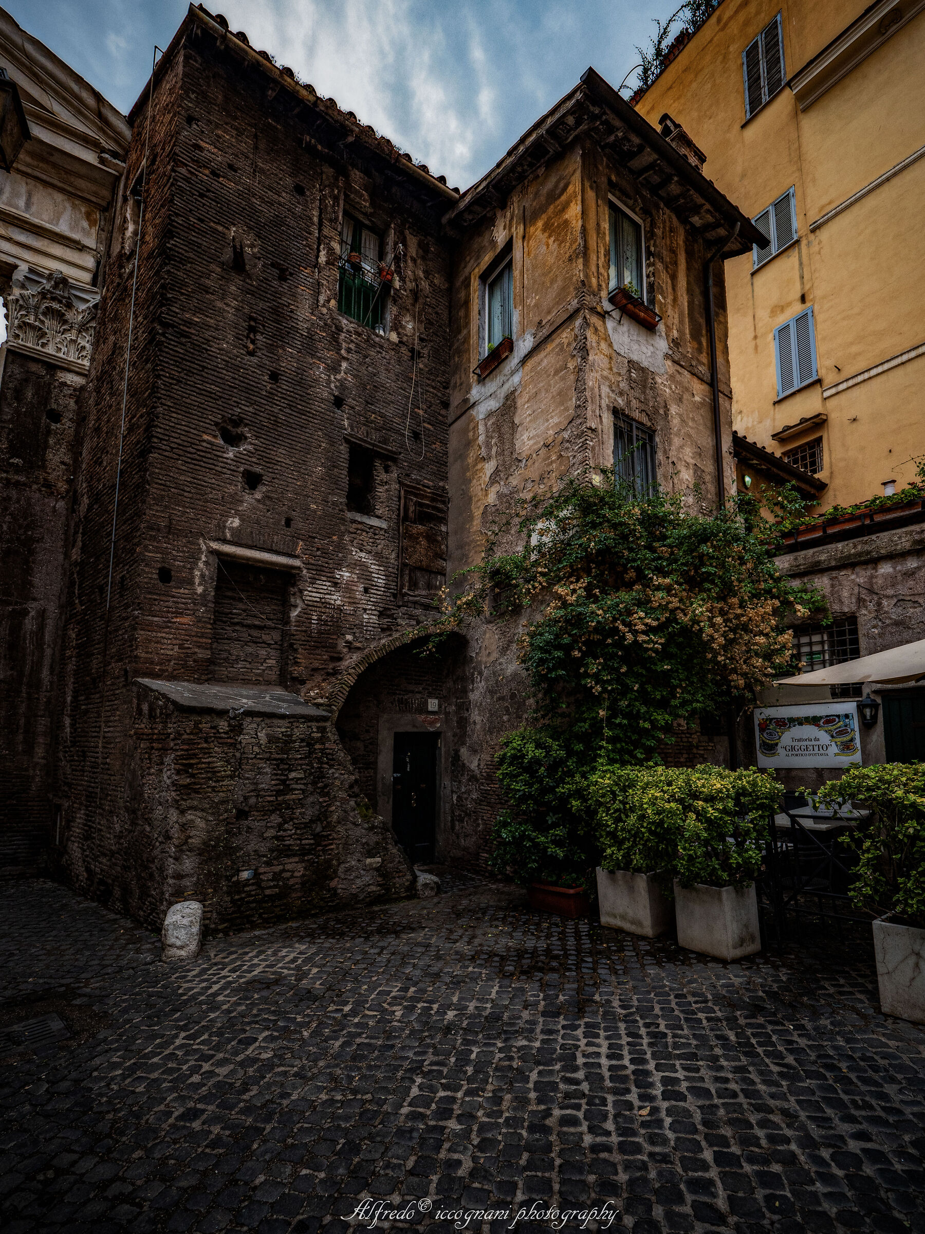Untitled Photo