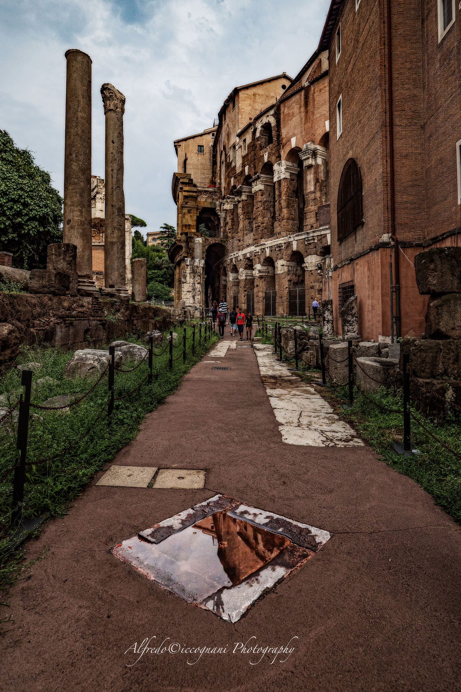 Untitled Photo