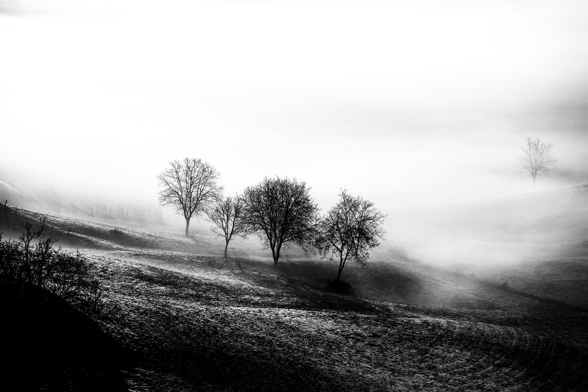 Untitled Photo