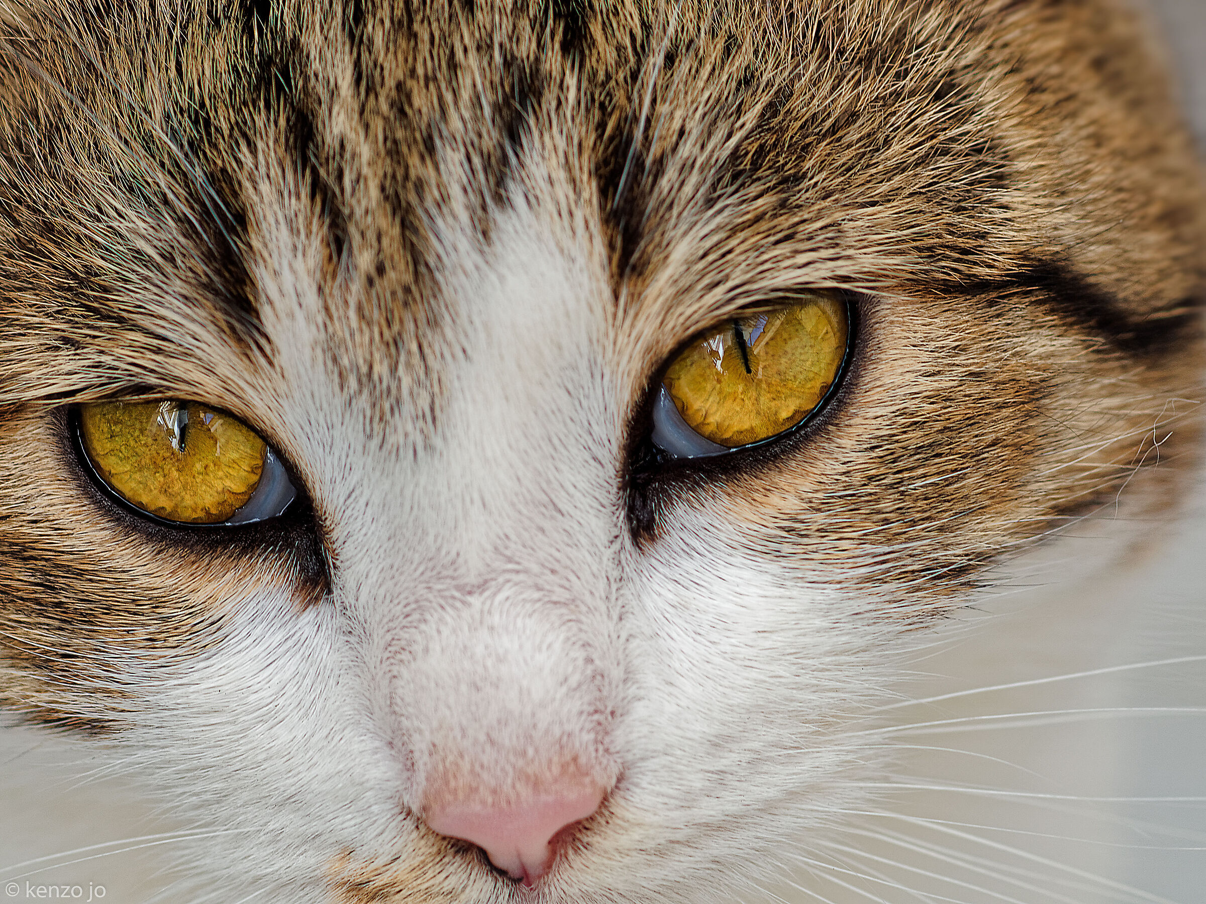 A me gli occhi, please...