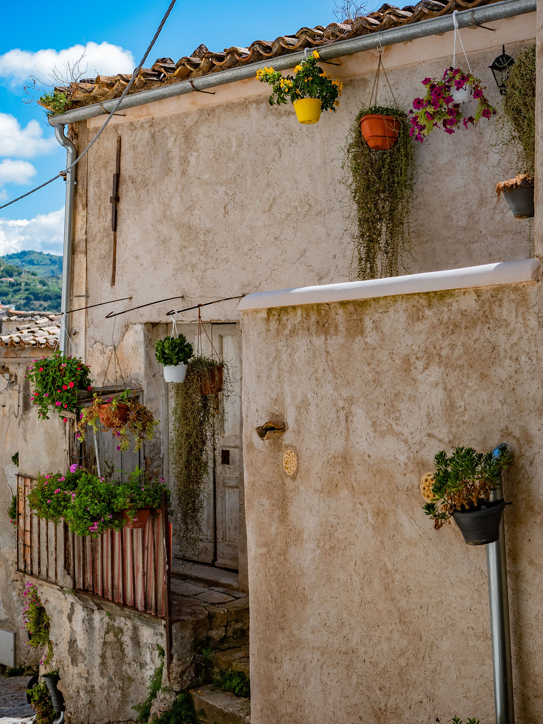 House of the Village