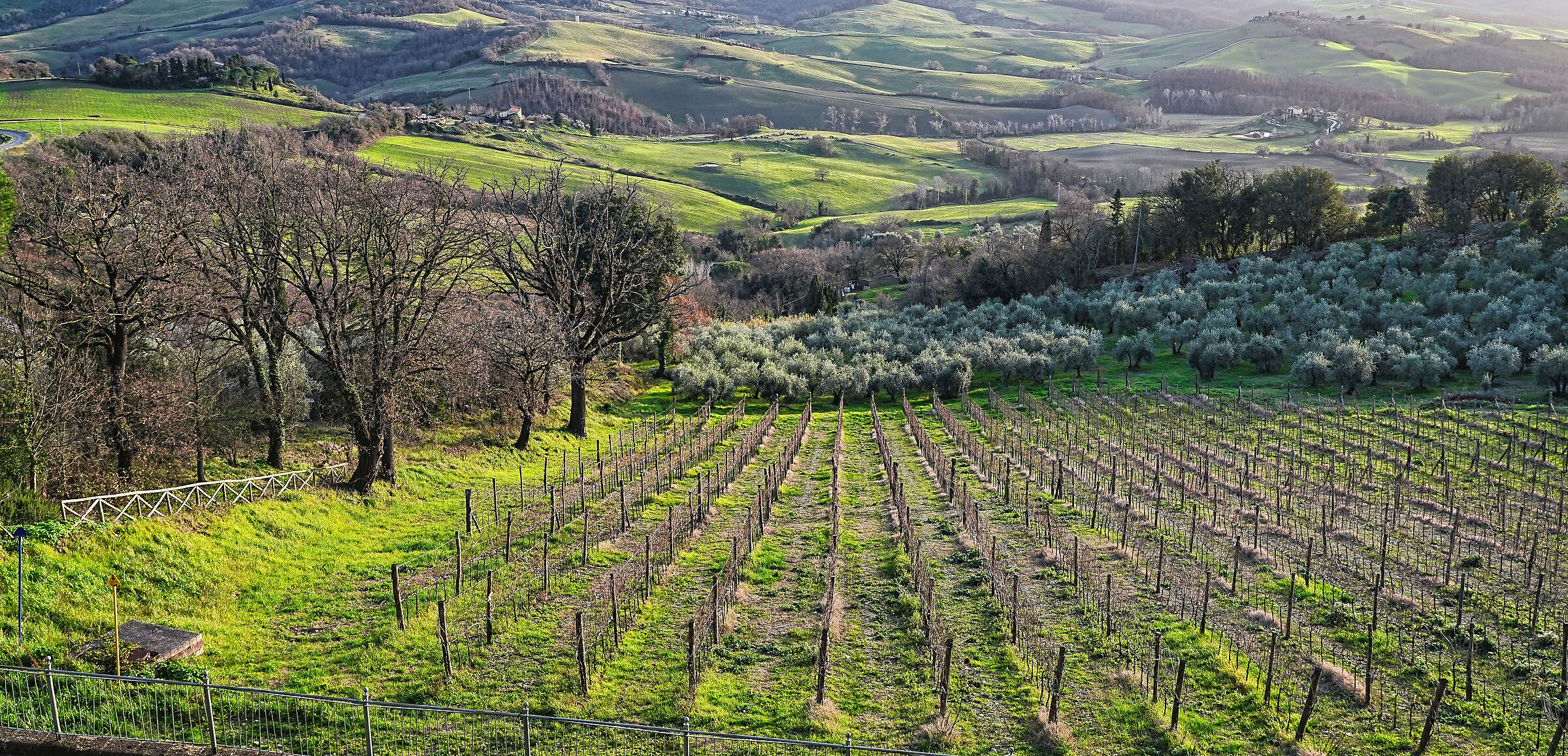 hills in Casole D'elsa