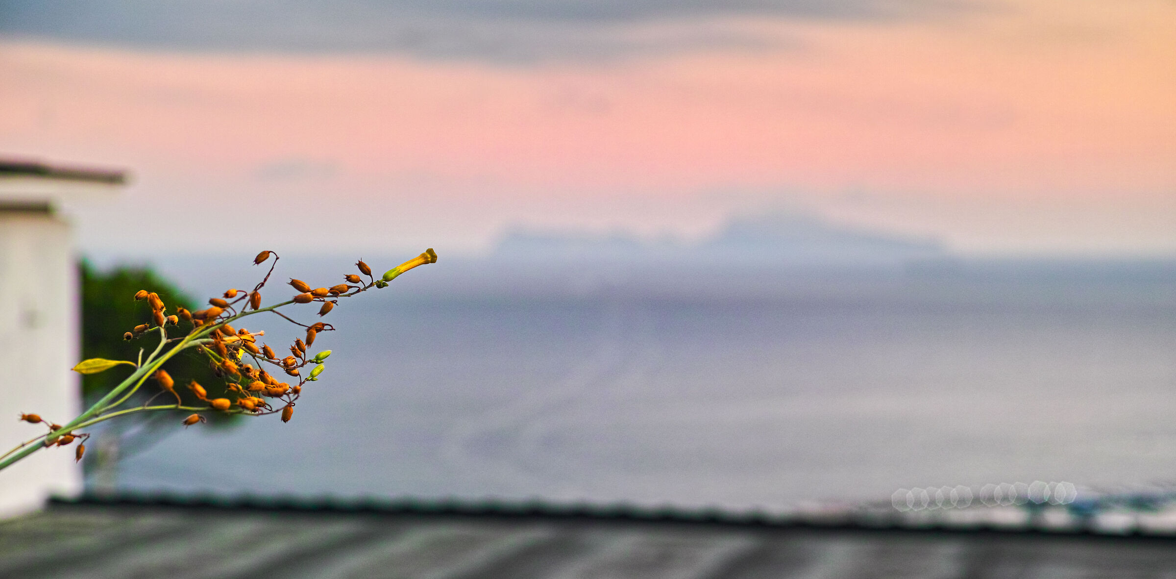 Quando si dice: Capri è un sogno...