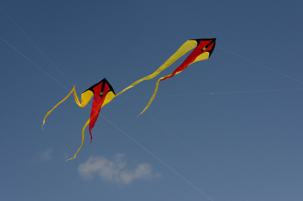 Twins Kites