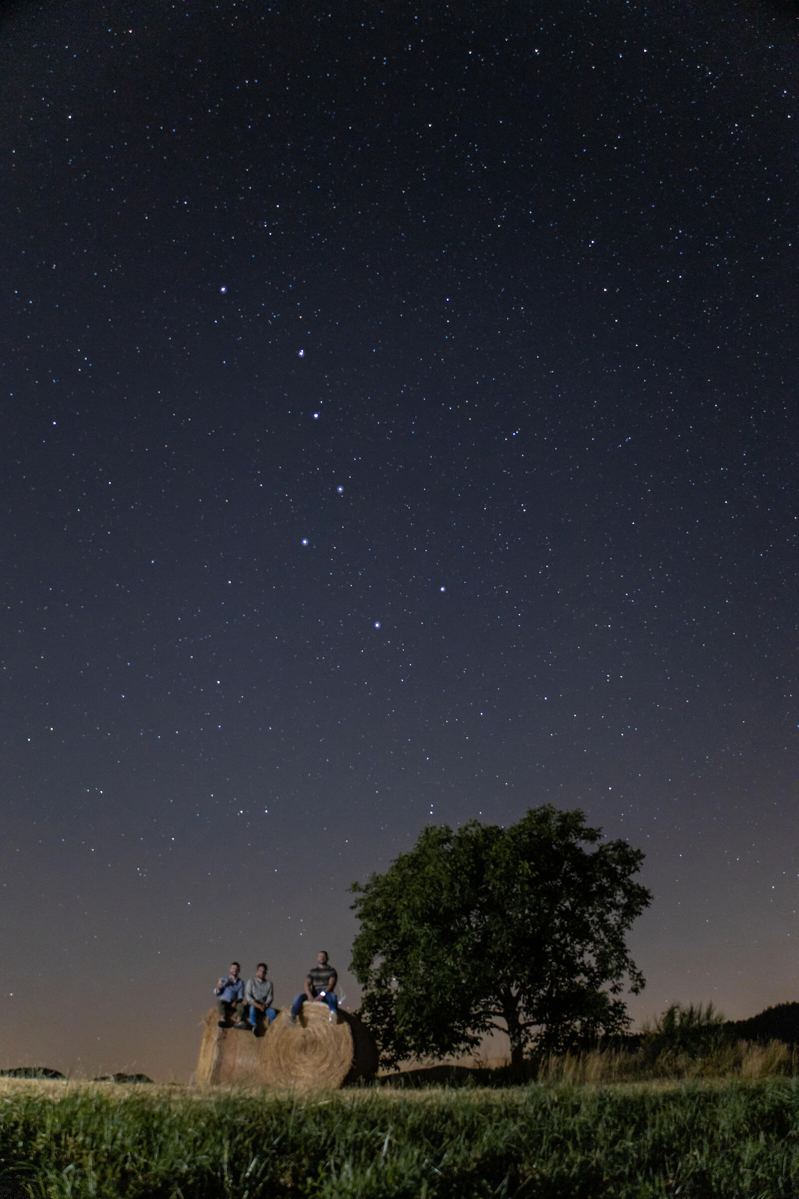 Bears under Ursa Major