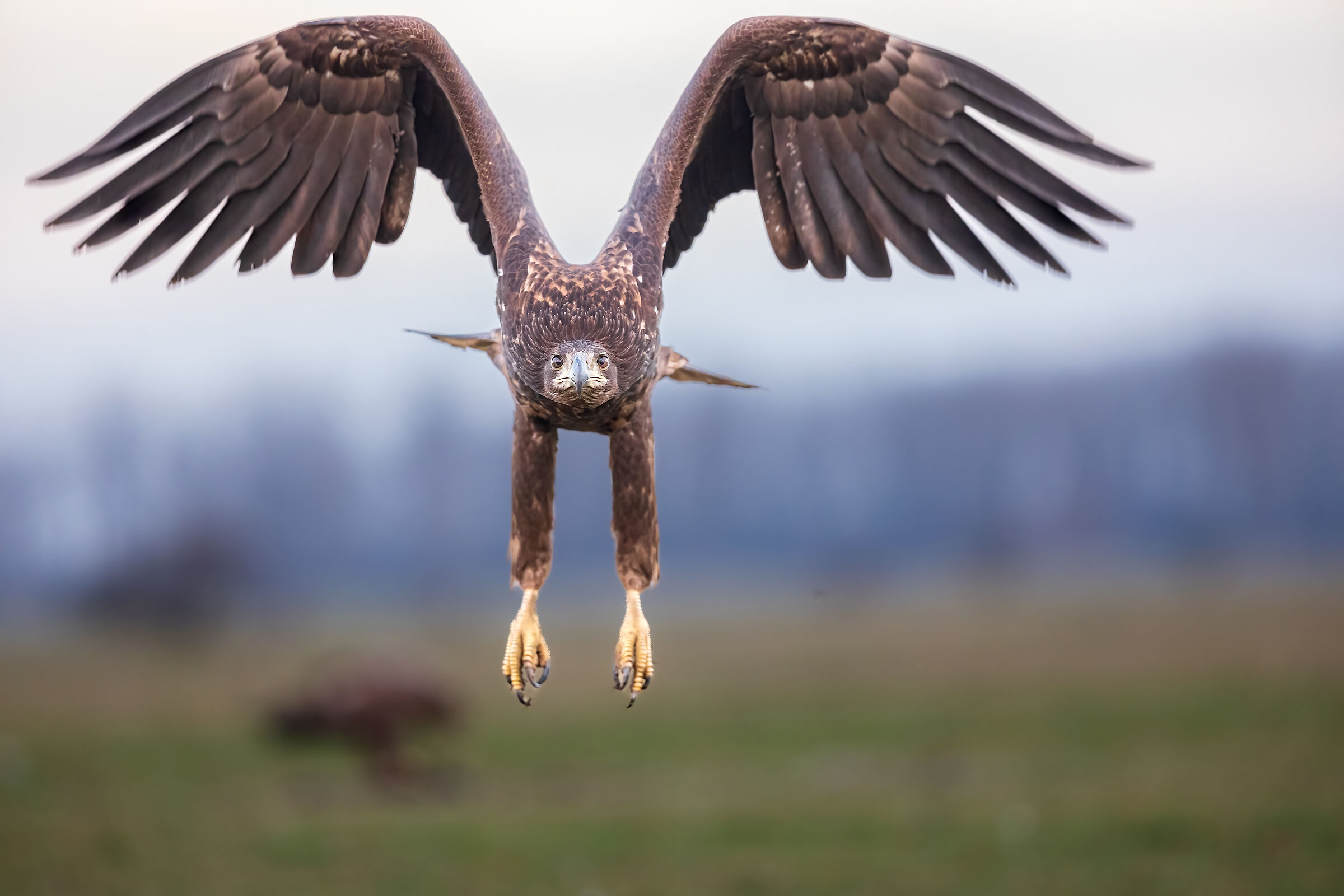 .. prepare for landing...